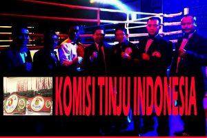 KTI KIMISI TINJU INDONESIA