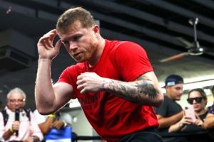 CANELO SHOWDOW BOXING MELINA PIZZANO MATCHROOM