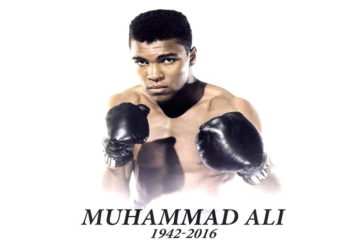 ALI 1942 2016